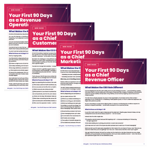 CXO 30-60-90 Templates