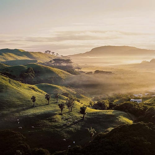 New Zealand image 2