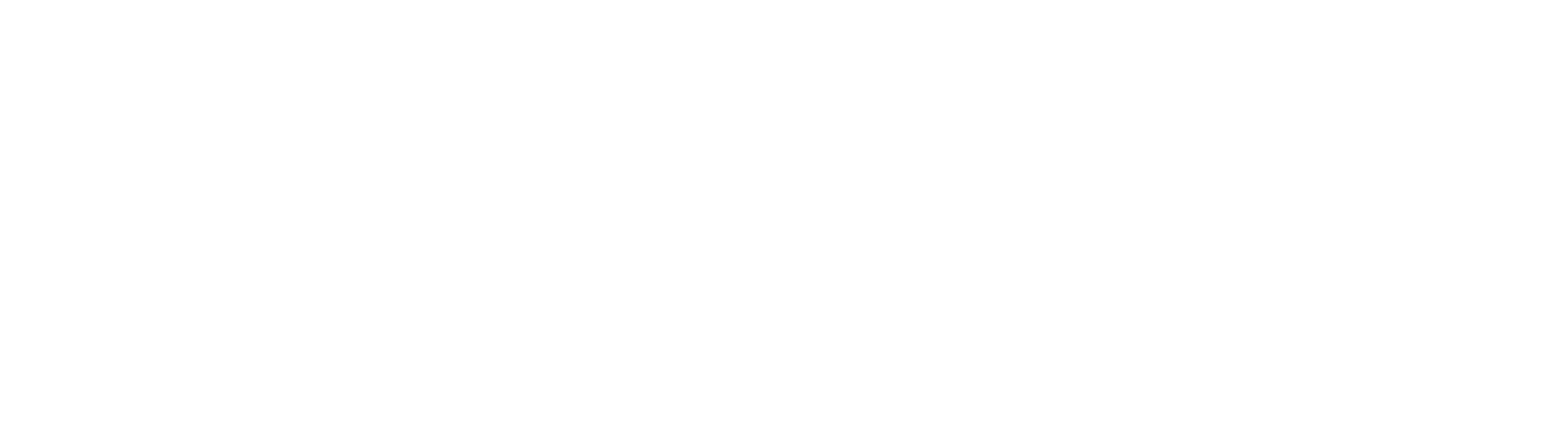 Influ2