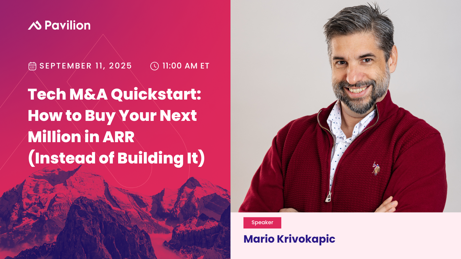 Tech M&A Quickstart: How to Buy Your Next Million in ARR (Instead of Building It)