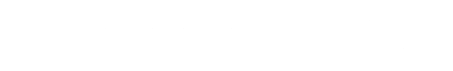 logo_databricks_white