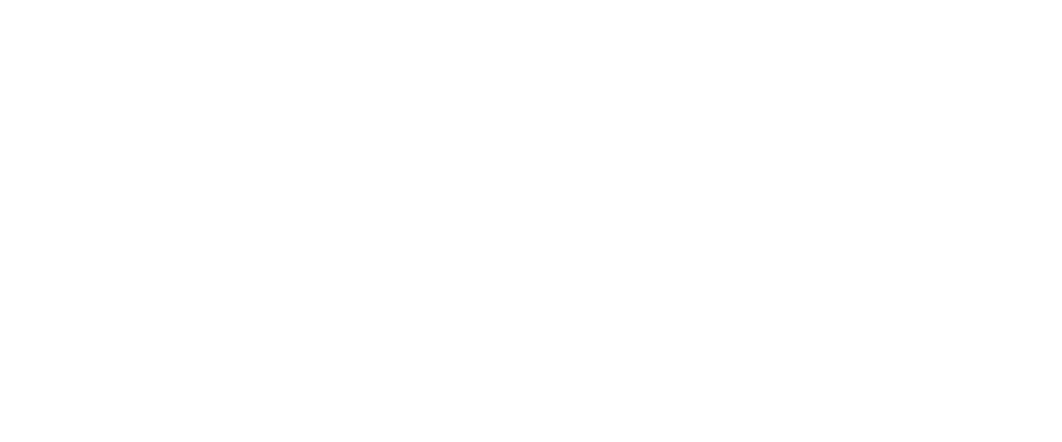logo_stripe_white